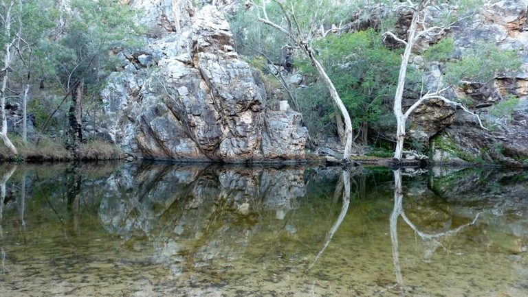 Butterfly Springs